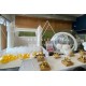 Bubble house hire with 80 balloons inside